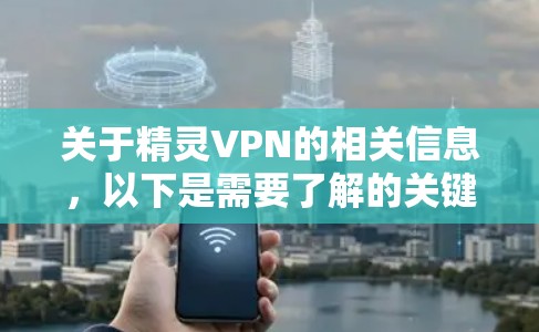 关于精灵VPN的相关信息，以下是需要了解的关键点