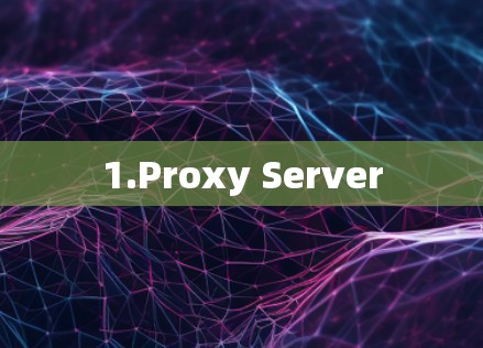 1.Proxy Server