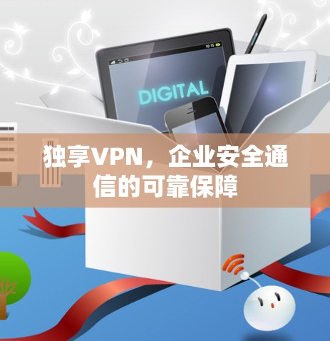 独享VPN，企业安全通信的可靠保障