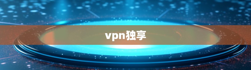vpn独享