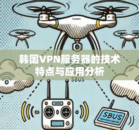 韩国VPN服务器的技术特点与应用分析